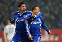 FUSSBALL, 1. BUNDESLIGA, 20. Spieltag: Schalke - Hoffenheim