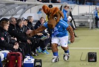 Fussball DFB Pokal Viertelfinale 13/14: TSG 1899 Hoffenheim - VfL Wolfsburg