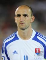 Fussball WM  2010  Qualifikation: Slowakei - Tschechien