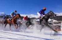 White Turf  St. Moritz 2010