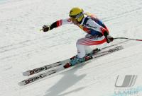 Ski Alpin  Herren  Abfahrt  Kitzbuehel