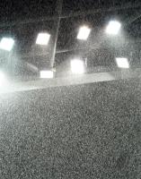 Fussball International Frauen Weltmeisterschaft