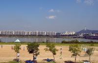 Fussball International  U 17 Weltmeisterschaft        FinaleFeature