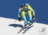 Ski Alpin  Herren Abfahrt Wengen