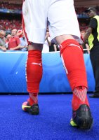 Fussball International Europameisterschaft 2016: Island - Oesterreich