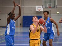 JBBL Basketball 23/24 SV03 Tuebingen Young Tigers - Rhein-Neckar Metropolitans
