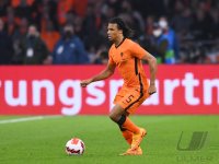 FUSSBALL INTERNATIONAL Testspiel: Niederlande - Deutschland