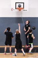 Basketball Young Tigers Tuebingen