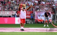 Fussball 1. Bundesliga 23/24: FC Bayern Muenchen - 1.FC Koeln