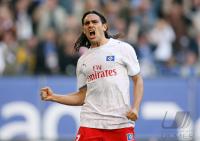 Fussball, 1. Bundesliga: Hamburg - Mainz