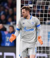 Fussball 1. Bundesliga Saison 18/19: TSG 1899 Hoffenheim - FC Schalke 04