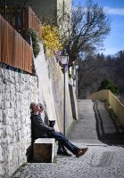 Schmuckbild Fruehling