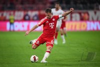 Fussball  1. Bundesliga   Saison 2026/2027     6. Spieltag  FC Bayern Muenchen - RB Leipzig