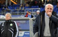 FUSSBALL, 1. BUNDESLIGA, 20. Spieltag: Hamburg - Wolfsburg