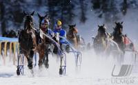 White Turf  St. Moritz 2010