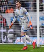 Fussball 1. Bundesliga Saison 18/19: TSG 1899 Hoffenheim - FC Schalke 04