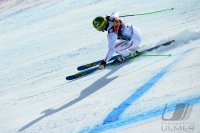 Ski Alpin  Herren  Abfahrt  Kitzbuehel 2013; Klaus Kroell (AUT)