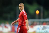 1. Fussball Bundesliga: Mladen Petric  (HSV)