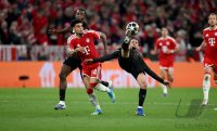 FUSSBALL CHAMPIONS LEAGUE  SAISON 25/26   Halbfinal Rueckspiel: FC Bayern Muenchen - Paris Saint-Germain