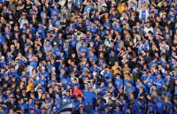 Fussball 1. Bundesliga:  VfB Stuttgart - Karlsruher SC