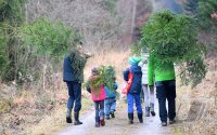 Weihnachtsbaeume selber schlagen im Ofterdinger Gemeindewald