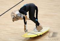 Basketball 1. Bundesliga  07/08  Walter Tigers Tuebingen  -  Science City Jena