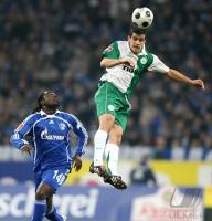 Fussball 1. Bundesliga: Schalke - Wolfsburg