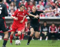 Fussball FC Bayern Muenchen  - 1. FC Koeln