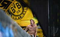 Fussball DFB Pokal 2. Runde 13/14 : Ultra Fan (Borussia Dortmund)
