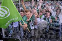 Fussball 1. Bundesliga 08/09  Meister  VfL Wolfsburg
