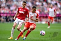 Fussball 1. Bundesliga 23/24: FC Bayern Muenchen - 1.FC Koeln