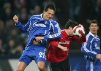Fussball, 1. Bundesliga: Schalke - Hamburg