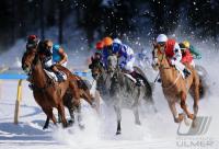White Turf  St. Moritz 2010
