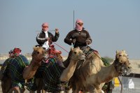 Kamelrennen Doha / Katar