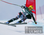 SKI  WM 2003  St.Moritz Abfahrt Herren