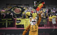 Basketball 2. Bundesliga 24/25: Tigers Tuebingen - Giessen 46ers