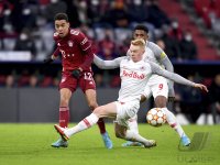 Fussball International CHL 21/22: FC Bayern Muenchen  - FC Salzburg