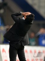 Fussball Saison 1. Bundesliga  Saison 2013/2014: Hamburger SV - SV Werder Bremen