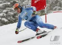 Ski Alpin; Abfahrt Training  Herren