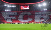 Fussball International CHL 22/23: FC Bayern Muenchen - Paris Saint-Germain