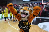 Basketball 2. Bundesliga  19/20: Tigers Tuebingen - Eisbaeren Bremerhaven