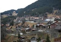 Ski Alpin  Herren Abfahrt Wengen