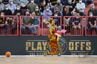 Basketball 2. Liga 21/22 Playoff Viertelfinale: Tigers Tuebingen - Eisbaeren Bremerhaven