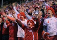 Fussball WM-Qualifikation:  DEN Fan