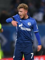 Fussball Bundesliga Saison 16/17: Hamburger SV - Schalke 04