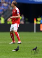 Fussball International Europameisterschaft 2016: Island - Oesterreich