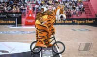 Basketball 2. Bundesliga 24/25 Walter Tigers Tuebingen - VET-CONCEPT Gladiators Trier