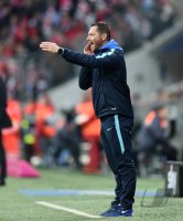 Fussball 1. Bundesliga Saison 15/16: FC Bayern Muenchen - Hertha BSC Berlin