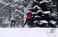 Schmuckbild, Wintersport, Skilanglauf auf dem Kniebis in Baiersbronn