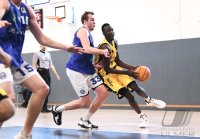 Basketball 2. Bundesliga 21/22 Testspiel: Tigers Tuebingen - HAKRO Merlins Crailsheim